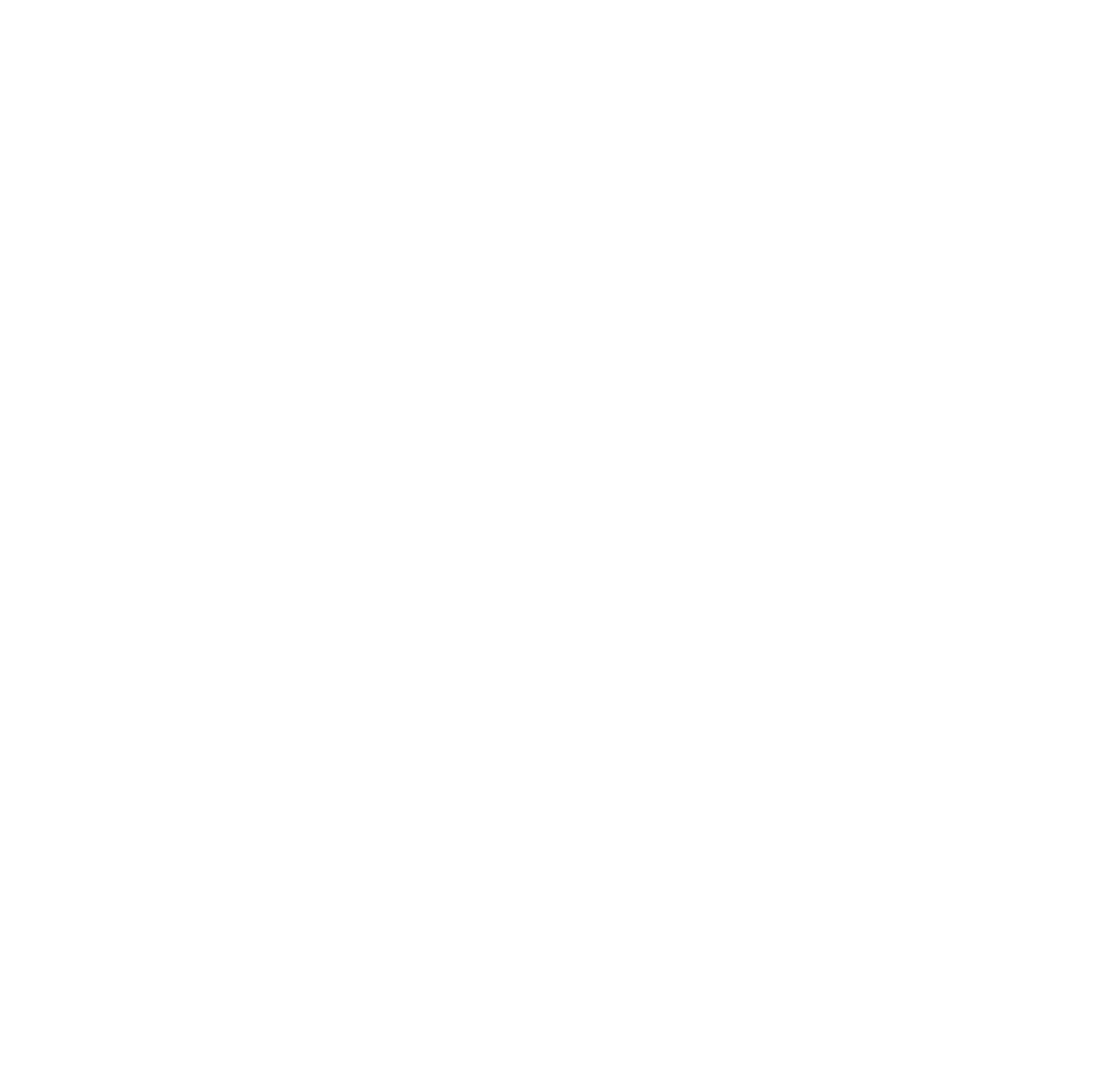 Course Croisière EDHEC